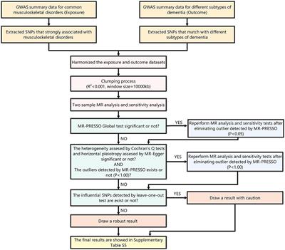 Corrigendum: Causal associations between common musculoskeletal disorders and dementia: a Mendelian randomization study